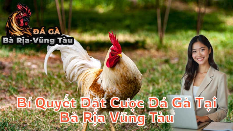 Bí Quyết Đặt Cược Đá Gà Tại Bà Rịa Vũng Tàu