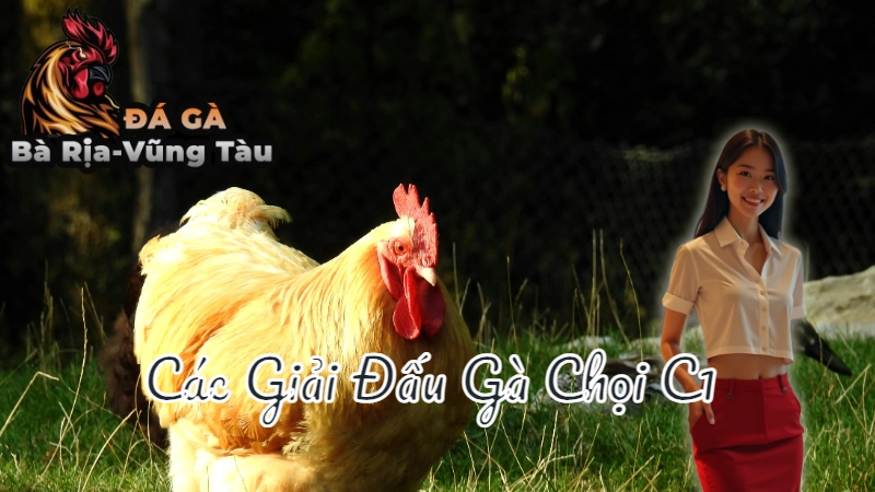 Đá Gà Cựa Dao: Chiến Thuật Và Mẹo Hay