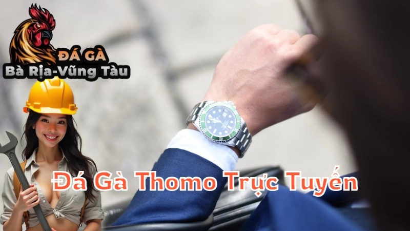 Cách Xem Đá Gà Thomo Trực Tuyến