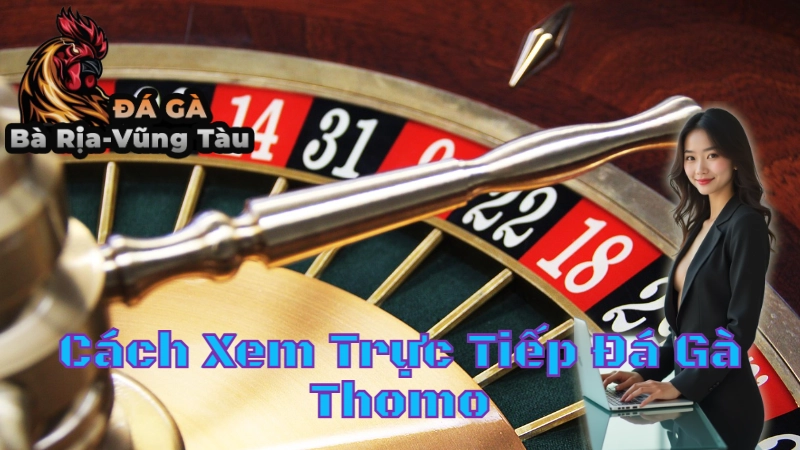 Cách Xem Trực Tiếp Đá Gà Thomo