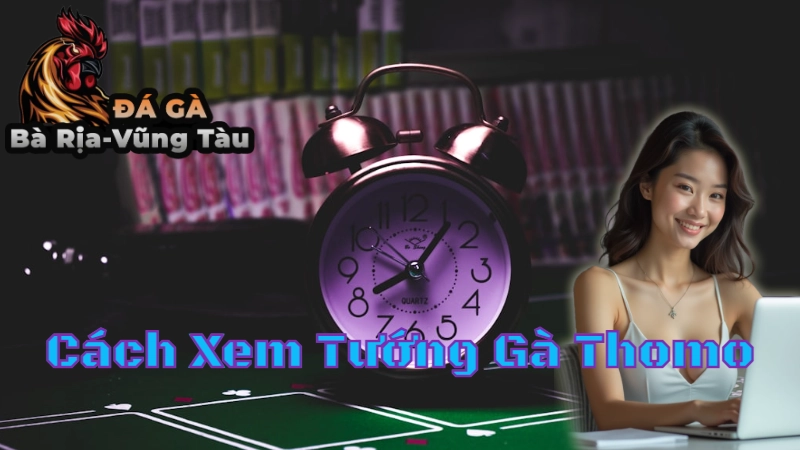 Cách Xem Tướng Gà Thomo Chuẩn Xác