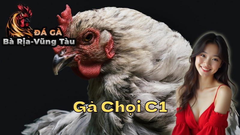 Gà Chọi C1: Tất Cả Những Điều Bạn Cần Biết