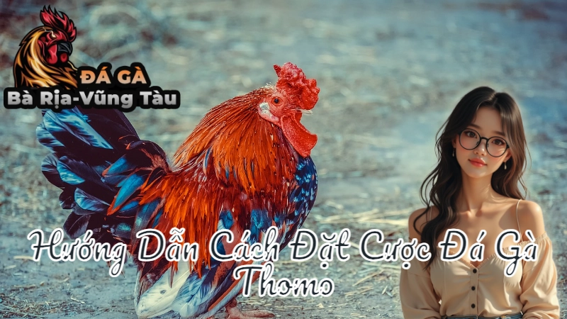 Hướng Dẫn Cách Đặt Cược Đá Gà Thomo