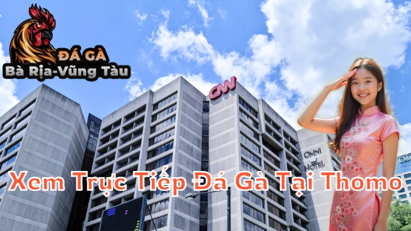 Mẹo Xem Trực Tiếp Đá Gà Tại Thomo