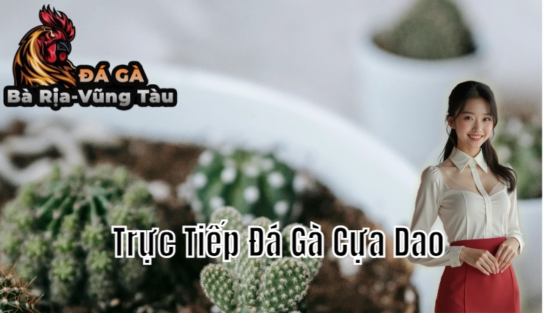 Trực Tiếp Đá Gà Cựa Dao Hôm Nay