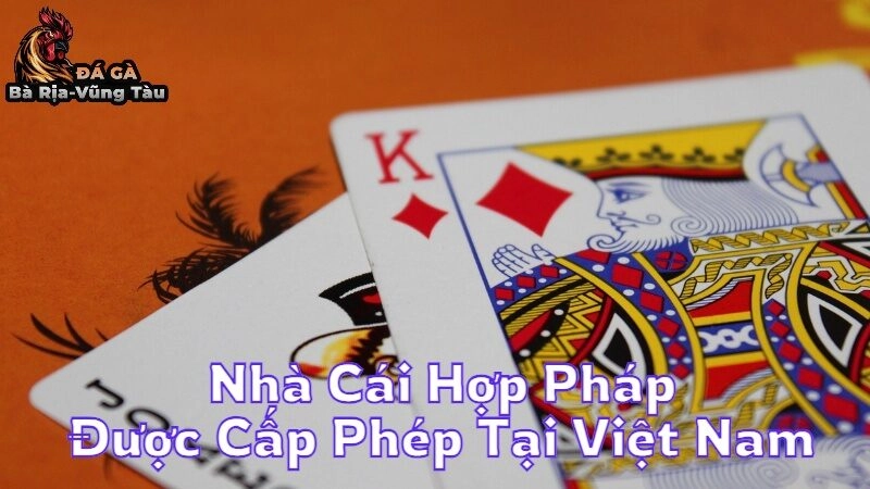 Nhà Cái Hợp Pháp Được Cấp Phép Tại Việt Nam