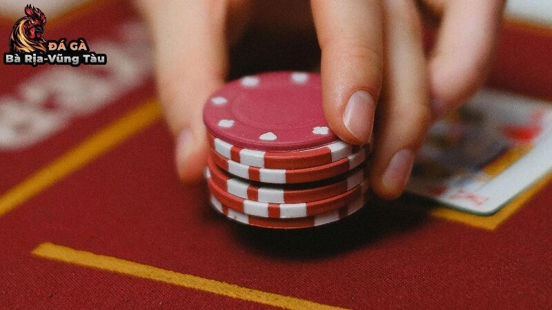 Vai Trò Của Nhà Cái Hợp Pháp Tại Việt Nam